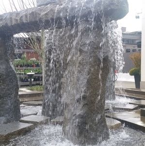 Meet your Posher, Kailey